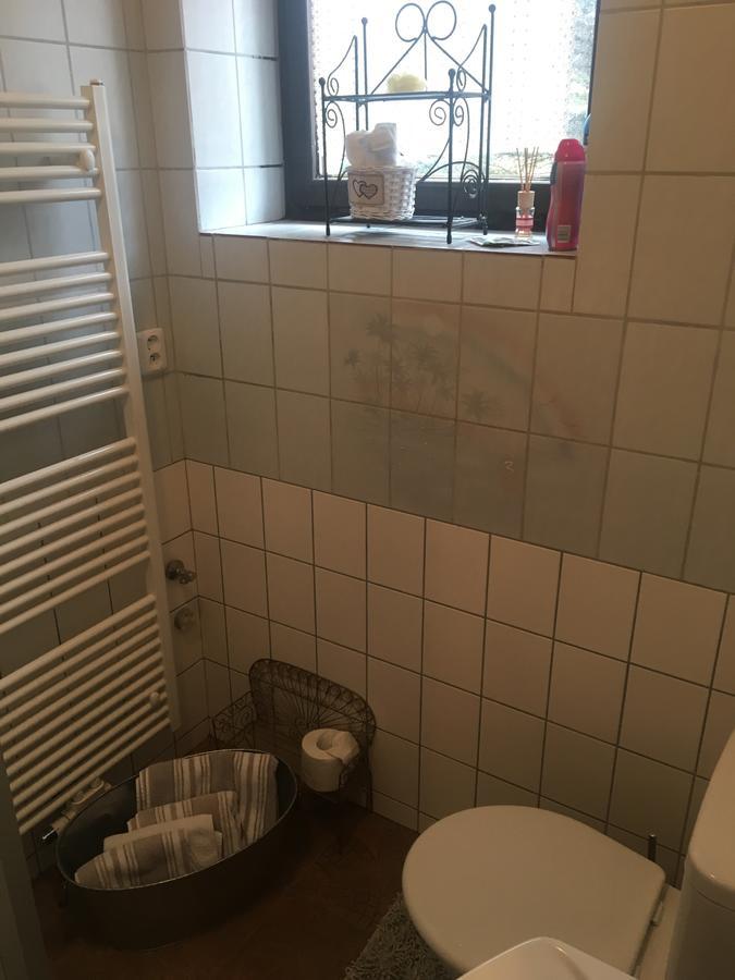 קונטה הורה Apartman Vrchlice מראה חיצוני תמונה