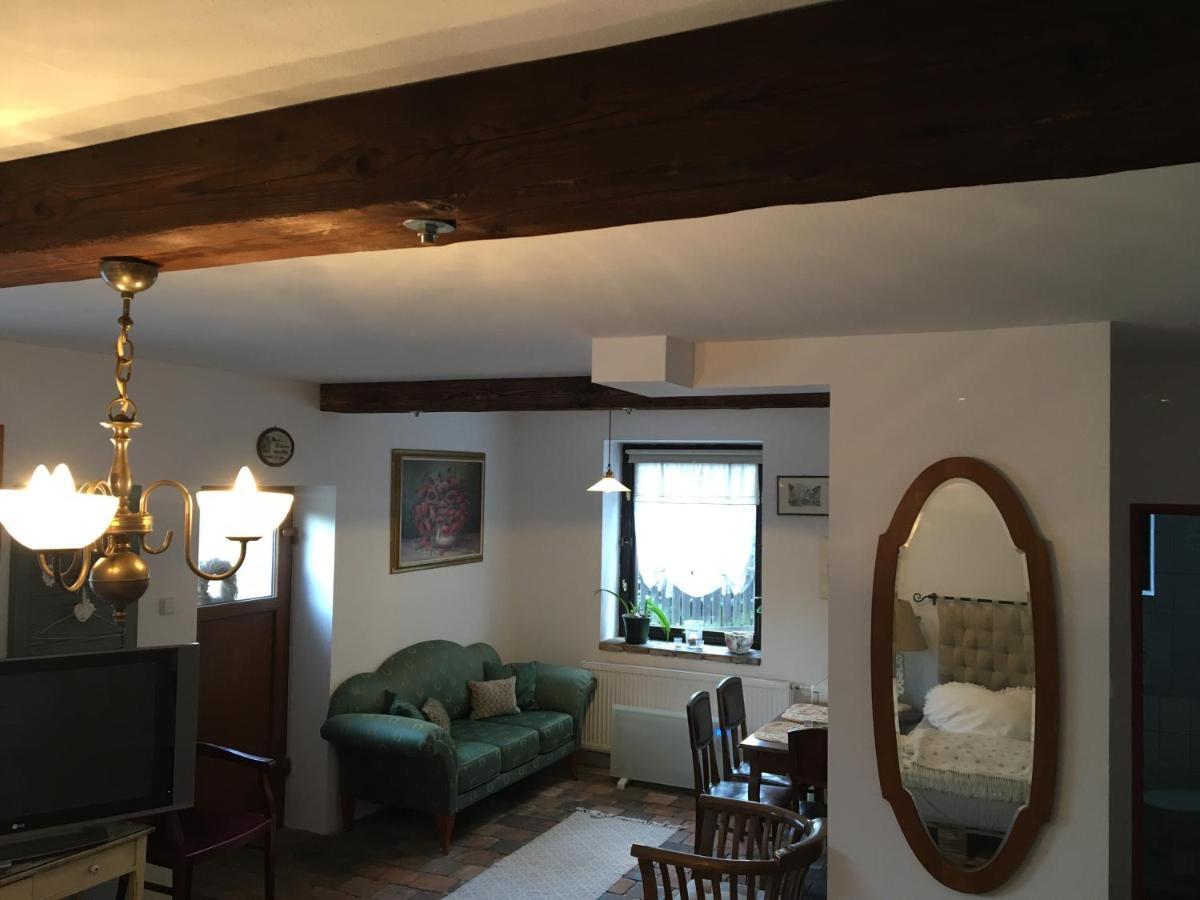 קונטה הורה Apartman Vrchlice מראה חיצוני תמונה